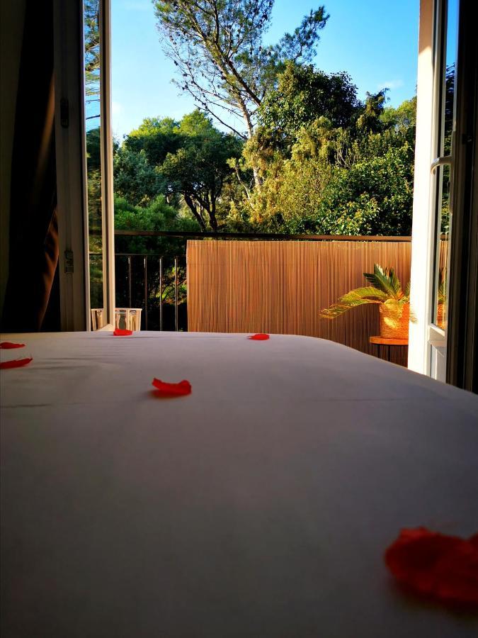 Instant Cosy Apartment Saint-Raphael  Exterior photo
